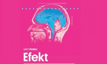 Efekt w Teatrze Studio